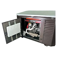 Бензиновый генератор A-iPower A13000EAX в супертихом зимнем кожухе 1700SS RAL 8019